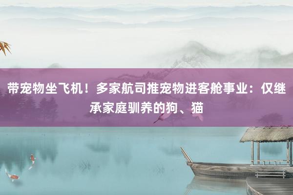 带宠物坐飞机！多家航司推宠物进客舱事业：仅继承家庭驯养的狗、猫