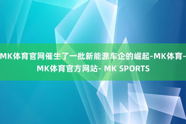 MK体育官网催生了一批新能源车企的崛起-MK体育- MK体育官方网站- MK SPORTS