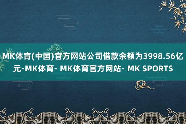 MK体育(中国)官方网站公司借款余额为3998.56亿元-MK体育- MK体育官方网站- MK SPORTS